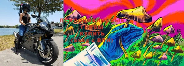 экстази Лихославль
