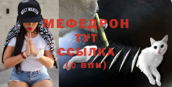 скорость Лагань