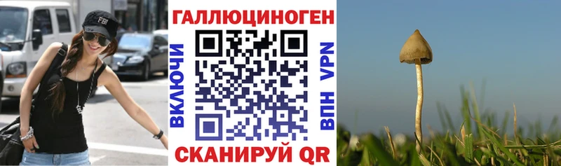 Псилоцибиновые грибы прущие грибы  где найти   Тимашёвск 