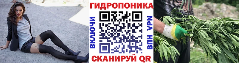 закладки mega ССЫЛКА Бошки марихуана семена Тимашёвск